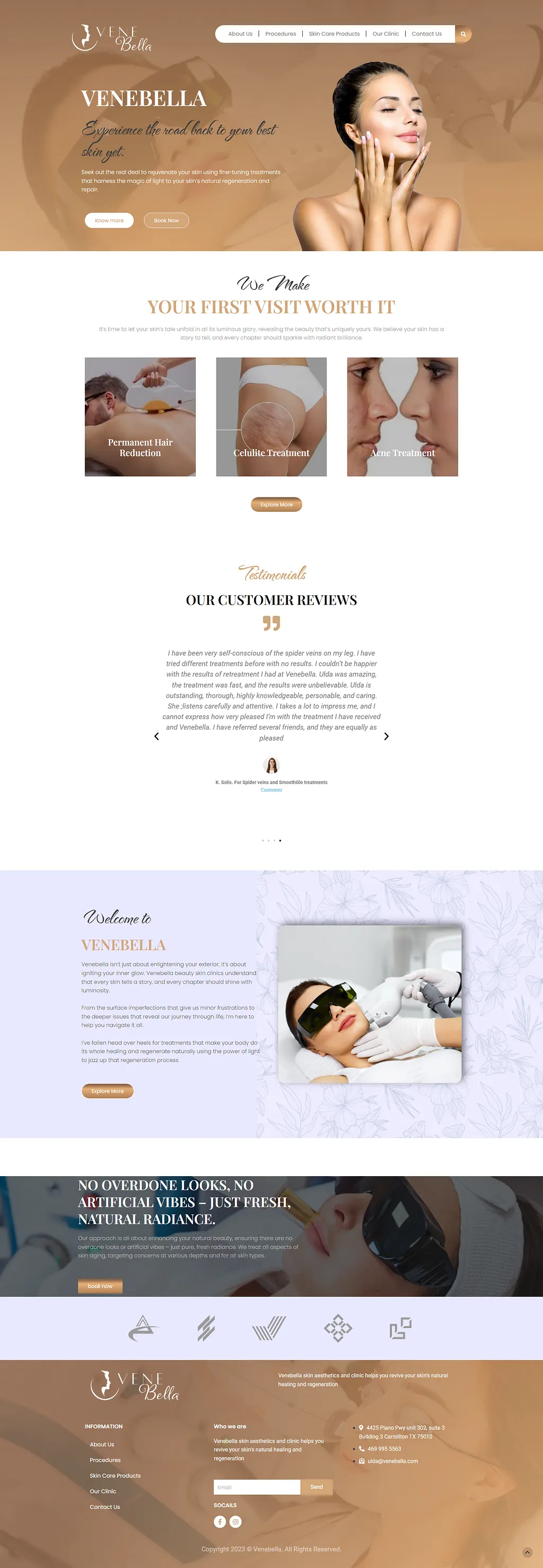 Website Preview 1