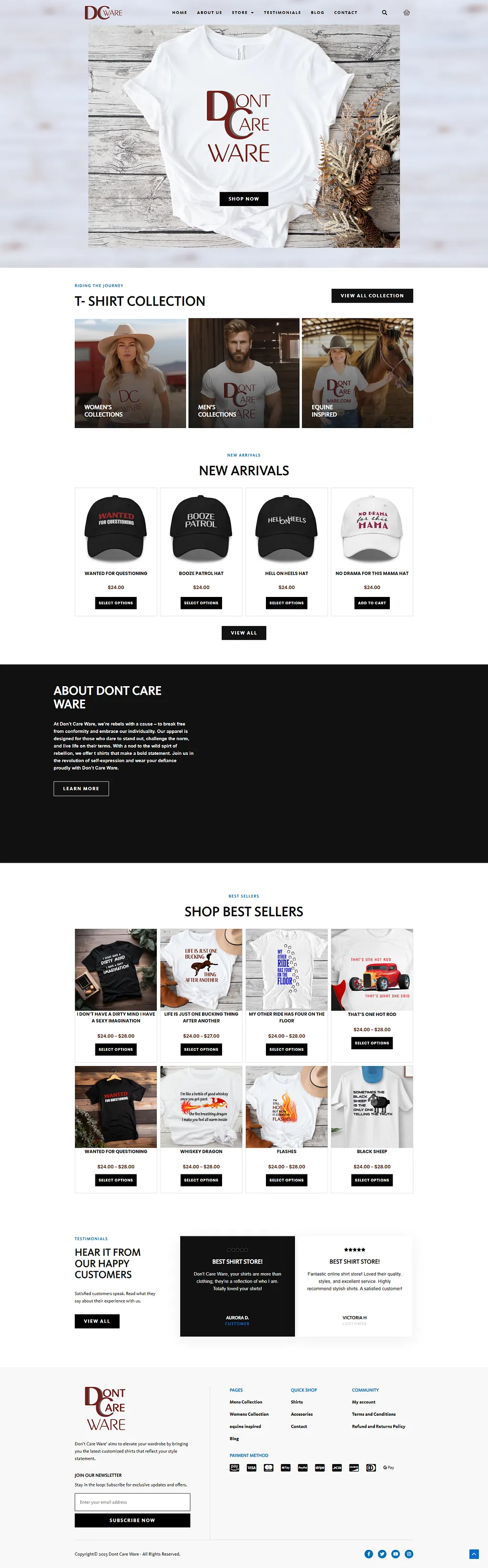Website Preview 10