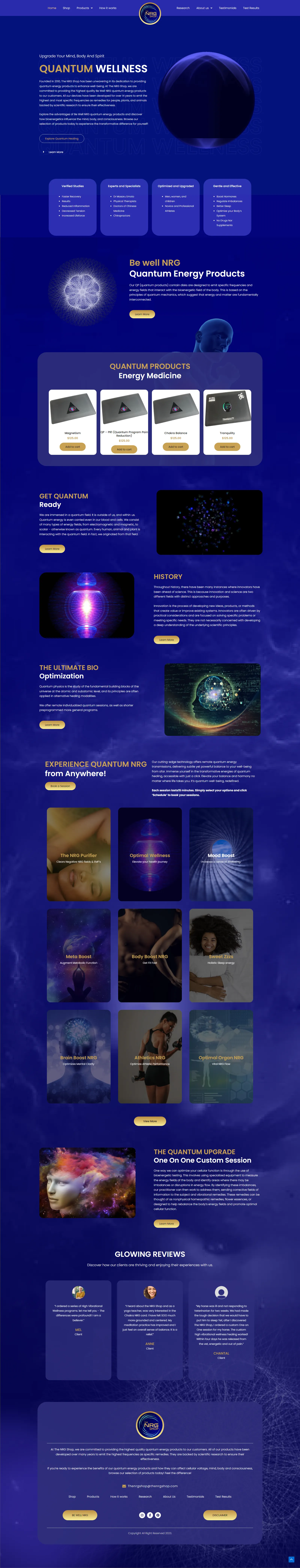 Website Preview 14