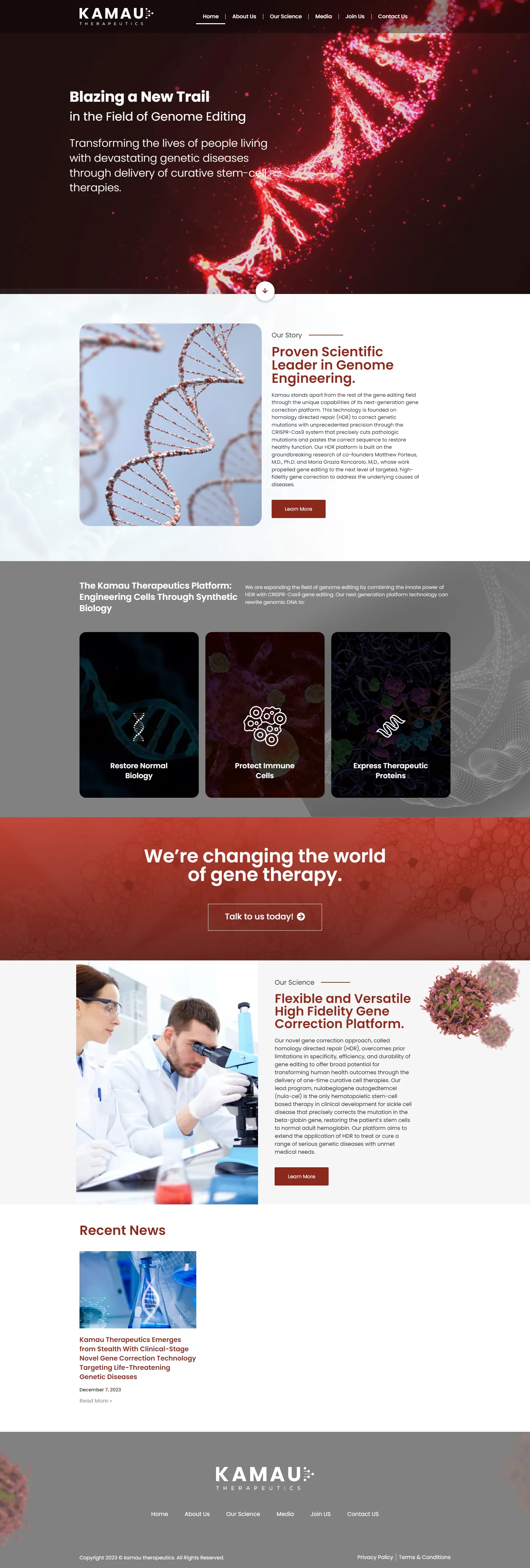 Website Preview 16